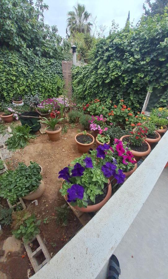 Appartement Carpe Diem Near The Athens Airport
